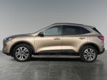 2021 Ford Escape Hybrid SEL