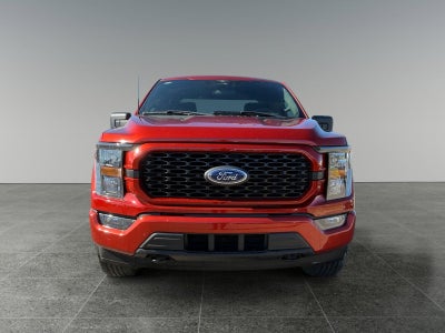2023 Ford F-150 XL STX