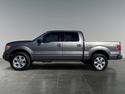 2012 Ford F-150 Platinum