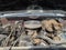 1982 Chevrolet Pickup Base