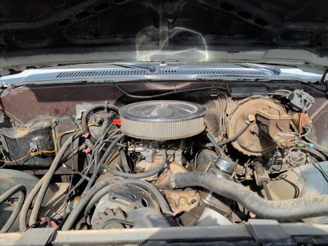 1982 Chevrolet Pickup Base