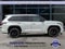 2025 Toyota Sequoia Limited