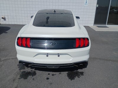 2022 Ford Mustang EcoBoost