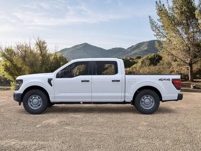 2025 Ford F-150 XL