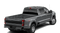 2026 Ford Super Duty F-450 DRW Platinum