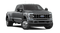 2026 Ford Super Duty F-450 DRW Platinum